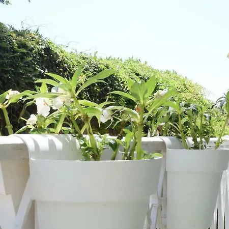 Apartment Sweet Dreams *